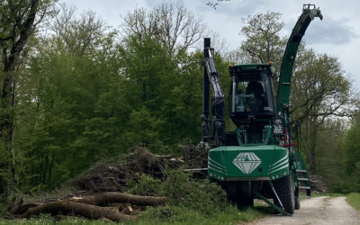 Broyage forestier à Dampierre-sur-Salon : Autreynergy à votre service
