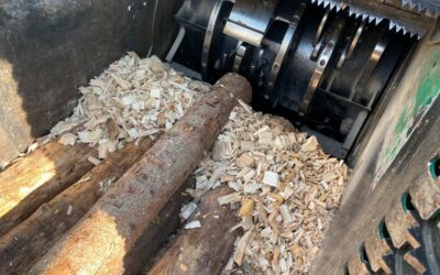 Entreprise de broyage à Marnay : Autreynergy au service de vos besoins forestiers