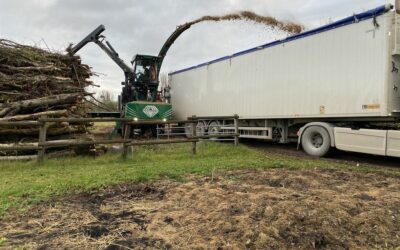 Pourquoi le broyage de bois à Auxonne est essentiel après des travaux d’abattage ?