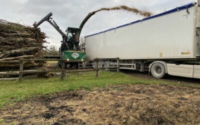 Broyage de bois à Dijon : une entreprise spécialisée à votre service