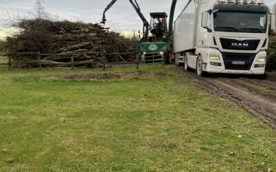 Broyage de bois à Vesoul, faites appel à une entreprise qualifiée pour le nettoyage de vos parcelles après abattage ou affouage !